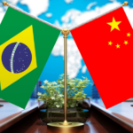 Xi_Jinping_and_Brazilian_President_Lula_da_Silva_Engage_in_Large_Group_Talks_in_Brasilia