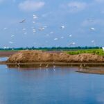 Xi_Jinping_s_Insights_on_Natural_Resources_Published_in_New_Compilation