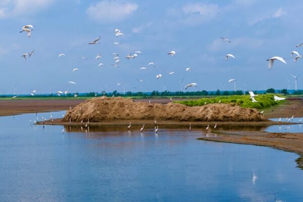 Xi_Jinping_s_Insights_on_Natural_Resources_Published_in_New_Compilation