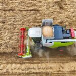 Xinjiang_Achieves_Record_Breaking_Wheat_Yields_in_Summer_Harvest