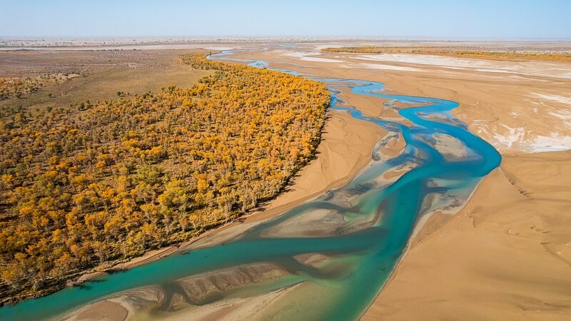 Xinjiang_Diverts_Floodwater_to_Rejuvenate_Tarim_Desert_Poplar_Forests - Khabar Asia Xinjiang Diverts Floodwater to Rejuvenate Tarim Desert Poplar Forests