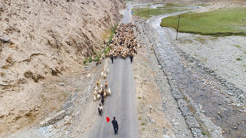 Xinjiang_Herders_Embrace_Mechanization_in_Seasonal_Livestock_Migration_poster - Khabar Asia Xinjiang Herders Embrace Mechanization in Seasonal Livestock Migration video poster