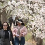 Xinjiang_Sees_Over_62_Boost_in_Tourism_Revenue_During_Qingming_Festival - Khabar Asia Xinjiang Sees Over 62% Boost in Tourism Revenue During Qingming Festival