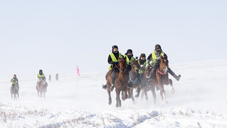Xinjiang Tourist Festival Thrills Visitors with Spectacular Horse Race