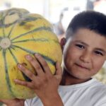 Xinjiang_s_Sweet_Feast_at_the_Foot_of_the_Tianshan_Mountains