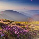 Xinjiang's Hidden Wonders: Beyond Deserts and Into Blossoms video poster