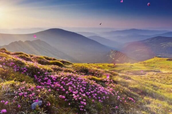 Xinjiangs_Hidden_Wonders_Beyond_Deserts_and_Into_Blossoms_poster - Khabar Asia Xinjiang's Hidden Wonders: Beyond Deserts and Into Blossoms video poster