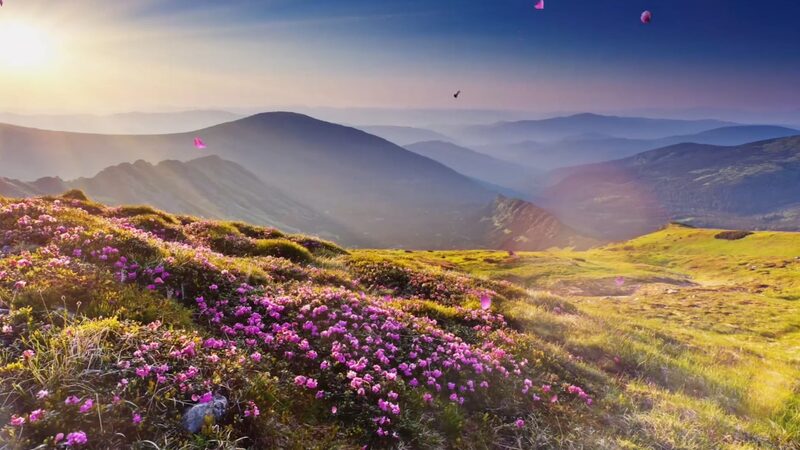 Xinjiangs_Hidden_Wonders_Beyond_Deserts_and_Into_Blossoms_poster - Khabar Asia Xinjiang's Hidden Wonders: Beyond Deserts and Into Blossoms video poster