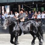 Xinjiang's Spectacular Horse Show Celebrates Ancient Traditions and Majestic Akhal-Teke Horses video poster