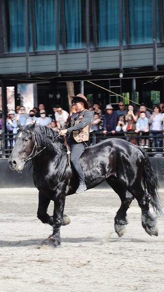 Xinjiang's Spectacular Horse Show Celebrates Ancient Traditions and Majestic Akhal-Teke Horses video poster