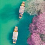 Xixi National Wetland Park: A Haven of Natural Beauty in Hangzhou