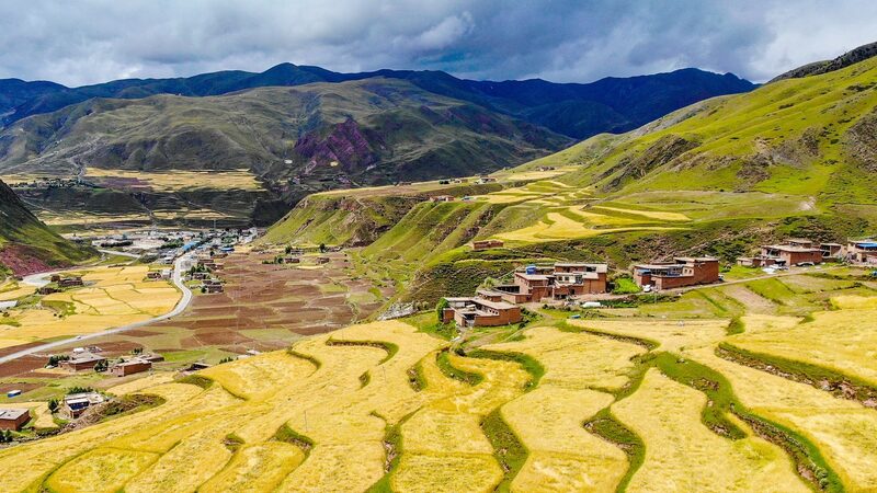 Xizang_Advances_Highland_Barley_Cultivation_at_Extreme_Altitudes_poster - Khabar Asia Xizang Advances Highland Barley Cultivation at Extreme Altitudes video poster