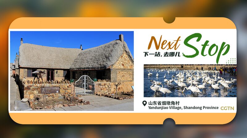 Yandunjiao_Village__China_s_Coastal_Gem_Joins_UN_s_2024_Best_Tourism_Villages