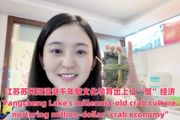 Yangcheng Lake Crab Culture Thrives as Harvest Season Begins Yangcheng_Lake_Crab_Culture_Thrives_as_Harvest_Season_Begins video poster