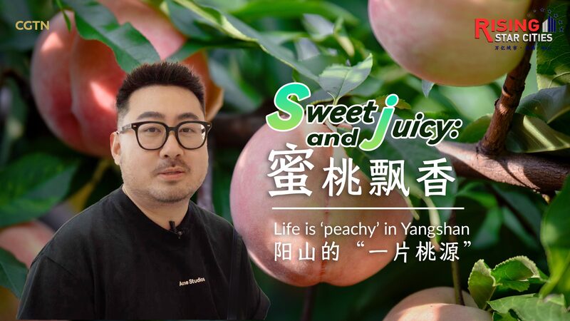 Yangshan_s_Sweet_Secret__The_Thriving_Honey_Peach_Haven_in_East_China video poster