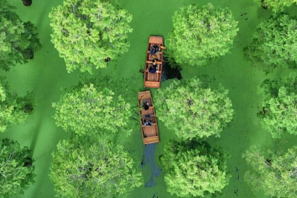 Yangzhou’s Luyang Lake Wetland: A Verdant Boost to Tourism Yangzhou_s_Luyang_Lake_Wetland__A_Verdant_Boost_to_Tourism