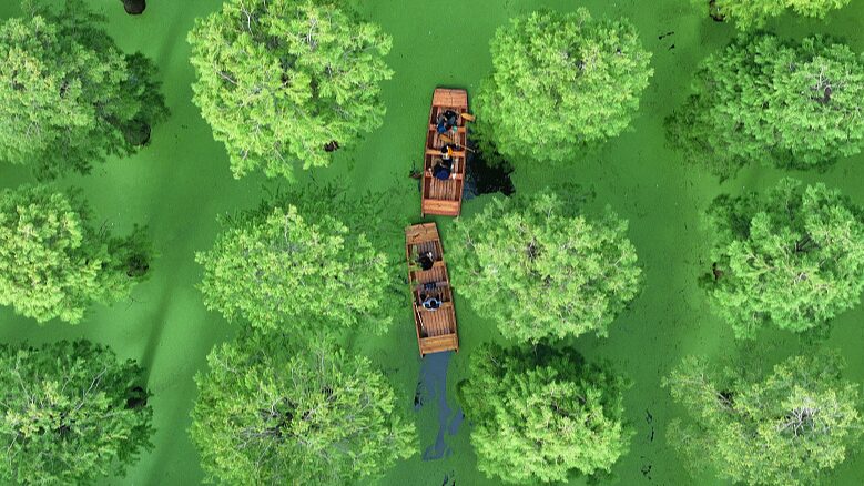 Yangzhou_s_Luyang_Lake_Wetland__A_Verdant_Boost_to_Tourism