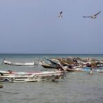 Yemeni Government Urges Global Action to Prevent Red Sea Environmental Disaster