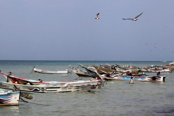 Yemeni Government Urges Global Action to Prevent Red Sea Environmental Disaster Yemeni Government Urges Global Action to Prevent Red Sea Environmental Disaster