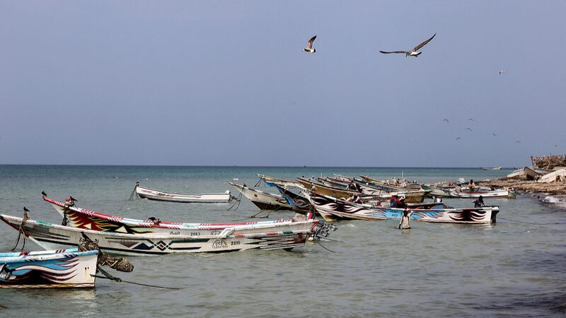 Yemeni Government Urges Global Action to Prevent Red Sea Environmental Disaster