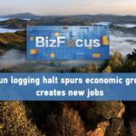 Yichun's Logging Ban Spurs Economic Growth and Job Creation video poster