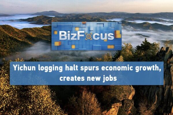 Yichun’s Logging Ban Spurs Economic Growth and Job Creation Yichun's Logging Ban Spurs Economic Growth and Job Creation video poster