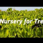 Yongxing_Island__A_Green_Transformation_in_the_South_China_Sea video poster