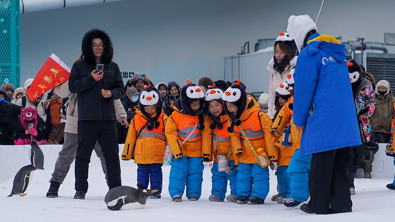 Young_Explorers_from_Guangxi_Warm_Hearts_in_Heilongjiang_Winter_Tour - Khabar Asia Young Explorers from Guangxi Warm Hearts in Heilongjiang Winter Tour