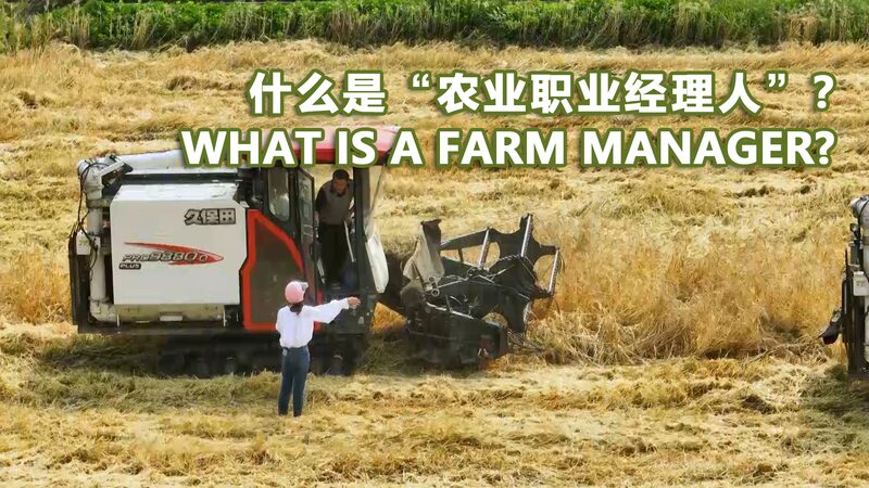 Young_Graduate_Revitalizes_Rural_Cooperative_as_Farm_Manager_poster - Khabar Asia Young Graduate Revitalizes Rural Cooperative as Farm Manager video poster