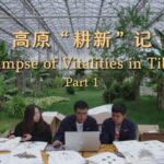 Young Scientists Protecting Tibet's Grasslands: Guardians of the Plateau video poster