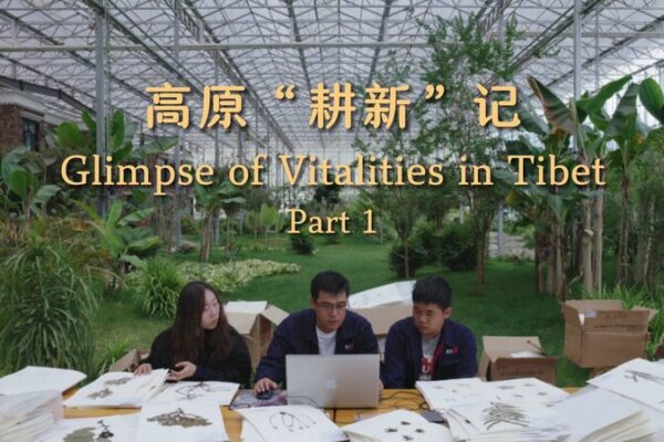 Young Scientists Protecting Tibet’s Grasslands: Guardians of the Plateau Young Scientists Protecting Tibet's Grasslands: Guardians of the Plateau video poster