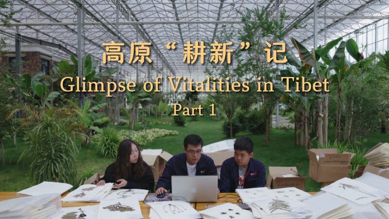 Young_Scientists_Protecting_Tibets_Grasslands_Guardians_of_the_Plateau_poster - Khabar Asia Young Scientists Protecting Tibet's Grasslands: Guardians of the Plateau video poster
