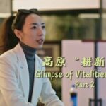 Young Tibetans Bring Traditional Culture to Global Stage with Innovative Approaches video poster