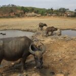 Yunnan Province Implements Measures to Combat Severe Drought