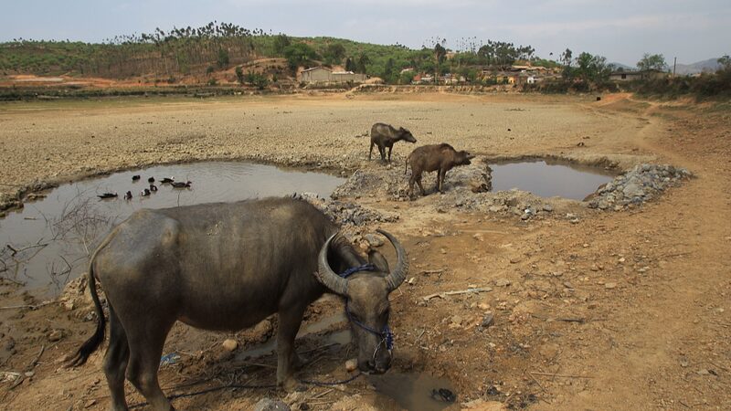Yunnan_Province_Implements_Measures_to_Combat_Severe_Drought - Khabar Asia Yunnan Province Implements Measures to Combat Severe Drought
