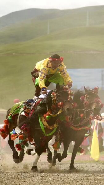 Yushu_s_Annual_Horse_and_Yak_Racing_Festival_Thrills_Spectators_poster - Khabar Asia Yushu_s_Annual_Horse_and_Yak_Racing_Festival_Thrills_Spectators video poster