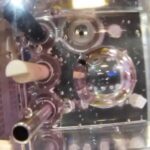 Zebrafish Exhibit Dizzying Antics on China Space Station video poster