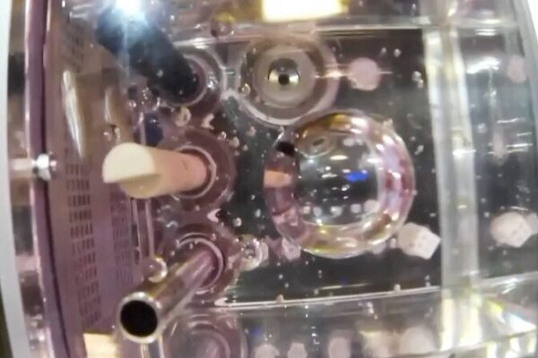 Zebrafish Exhibit Dizzying Antics on China Space Station Zebrafish Exhibit Dizzying Antics on China Space Station video poster