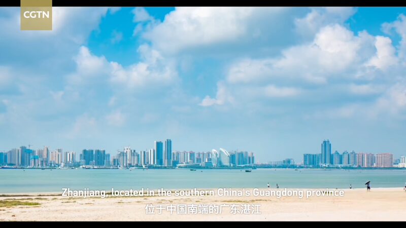 Zhanjiang_s_Innovative_Mangrove_Aquaculture_System_Bridges_Ecology_and_Economy_poster - Khabar Asia Zhanjiang_s_Innovative_Mangrove_Aquaculture_System_Bridges_Ecology_and_Economy video poster