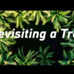 Zhaoshu Island Blossoms into a Green Treasure: Han Bin's Return After Eight Years video poster