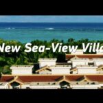 Zhaoshu Island's Transformation: From Remote Outpost to Thriving Sea-View Village video poster