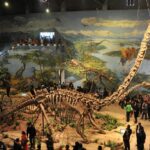 Zigong Dinosaur Museum: Asia's Premier Dinosaur Fossil Haven