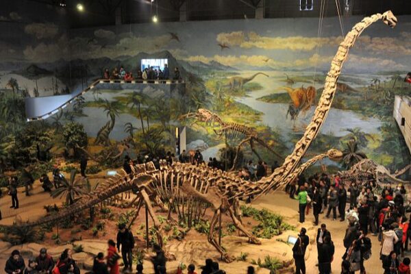 Zigong Dinosaur Museum: Asia’s Premier Dinosaur Fossil Haven Zigong Dinosaur Museum: Asia's Premier Dinosaur Fossil Haven