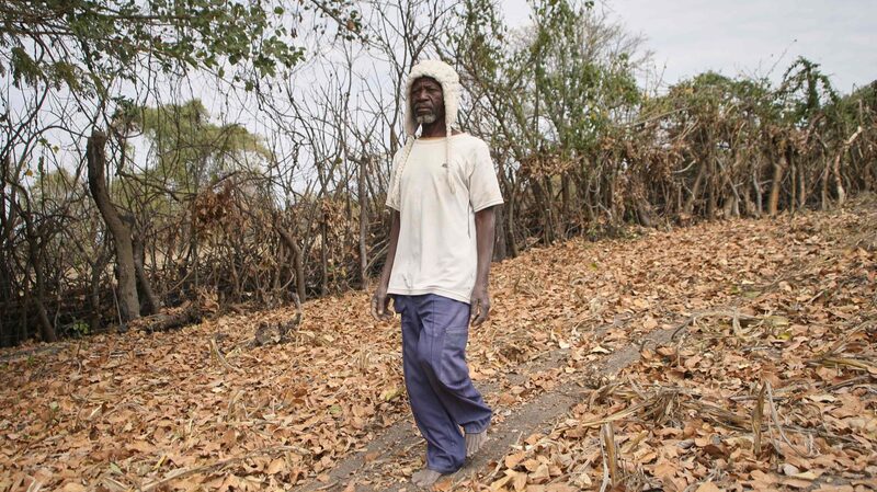Zimbabwe_Intensifies_Food_Aid_Amid_El_Nino_Induced_Drought - Khabar Asia Zimbabwe_Intensifies_Food_Aid_Amid_El_Nino_Induced_Drought