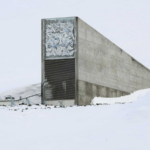 14_000_Seeds_from_21_Gene_Banks_Safeguarded_in_Svalbard_Global_Vault