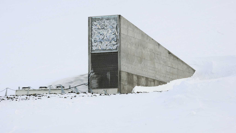 14_000_Seeds_from_21_Gene_Banks_Safeguarded_in_Svalbard_Global_Vault - Khabar Asia 14_000_Seeds_from_21_Gene_Banks_Safeguarded_in_Svalbard_Global_Vault