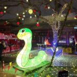 An_Expat_s_Journey__Embracing_Tradition_and_Tech_at_Beijing_s_Temple_Fairs