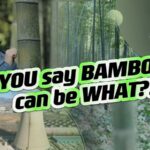 Bamboo_Takes_Center_Stage_as_Asia_s_Eco_Friendly_Plastic_Alternative video poster