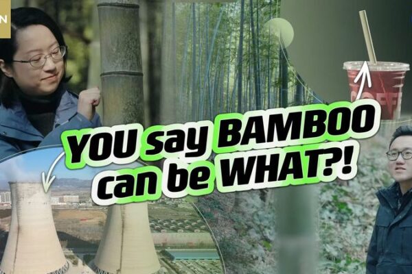 Bamboo Takes Center Stage as Asia’s Eco-Friendly Plastic Alternative Bamboo_Takes_Center_Stage_as_Asia_s_Eco_Friendly_Plastic_Alternative video poster