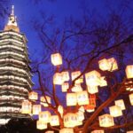 Blessing_Trees_Illuminate_Changzhou_Park_with_Festive_Lanterns